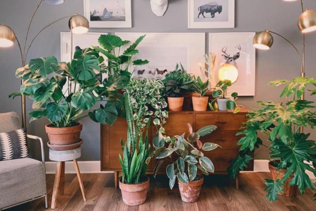 10 opções de plantas para apartamento pequeno e o que considerar Riva Incorporadora